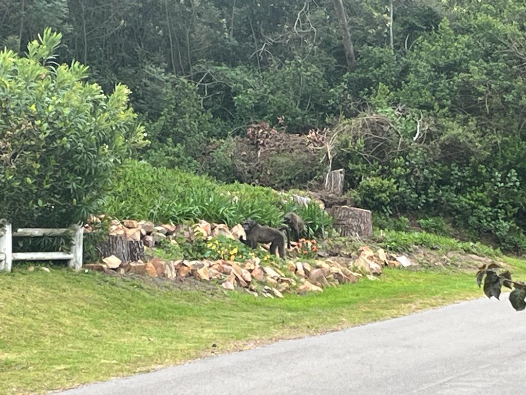 WhatsApp Image 2023-10-20 at 10.53.49