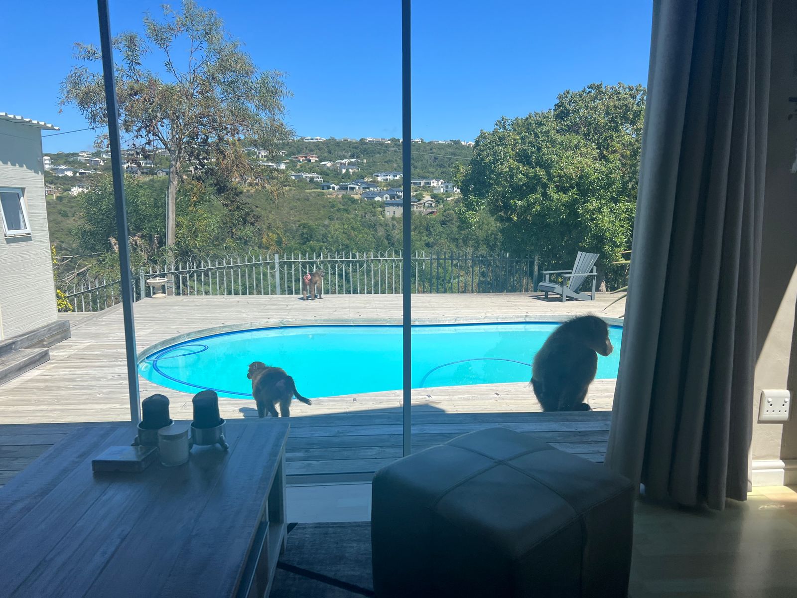 WhatsApp Image 2024-01-04 at 10.24.46