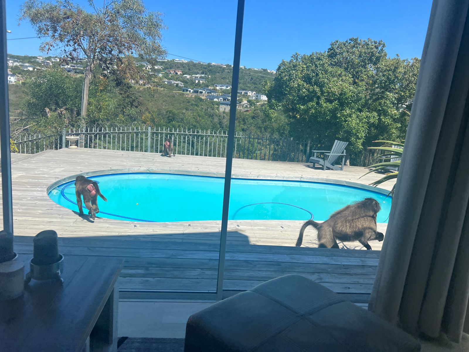 WhatsApp Image 2024-01-04 at 10.24.47