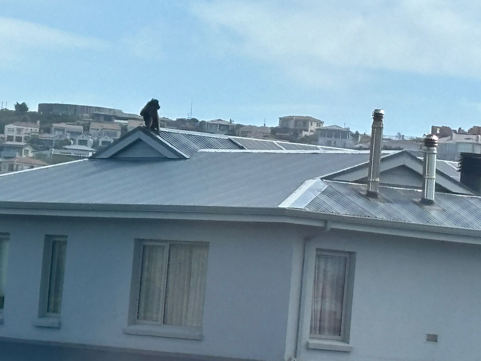 WhatsApp Image 2024-03-19 at 14.14.16