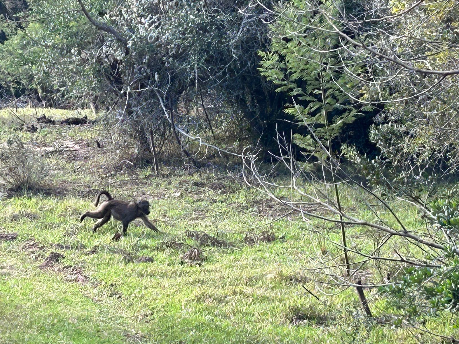 WhatsApp Image 2024-04-13 at 16.02.20