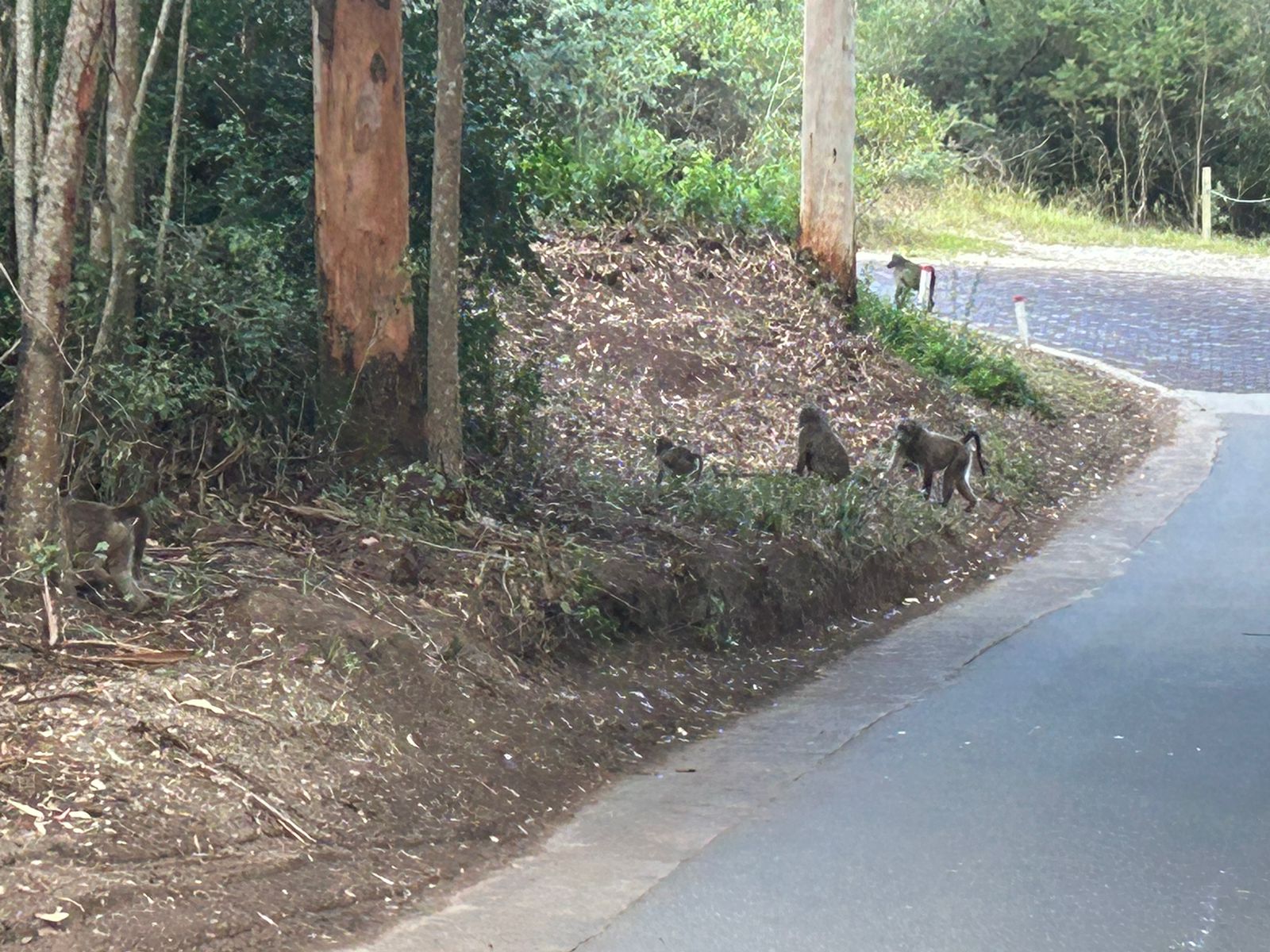 WhatsApp Image 2024-04-13 at 16.02.35