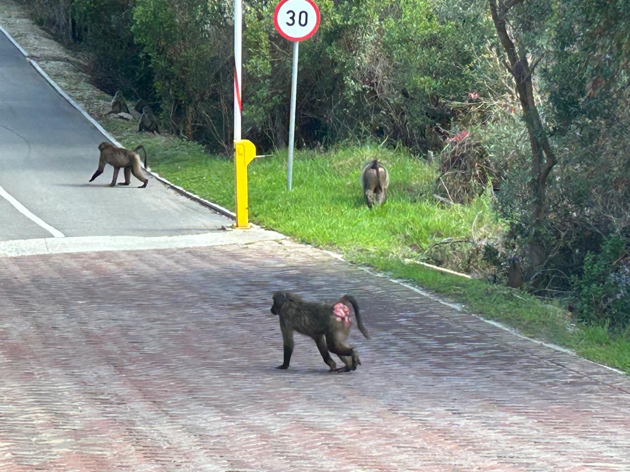 WhatsApp Image 2024-04-21 at 13.45.08