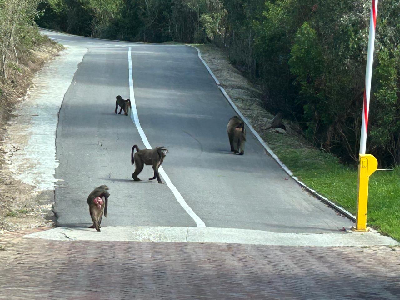 WhatsApp Image 2024-04-21 at 13.45.08(1)